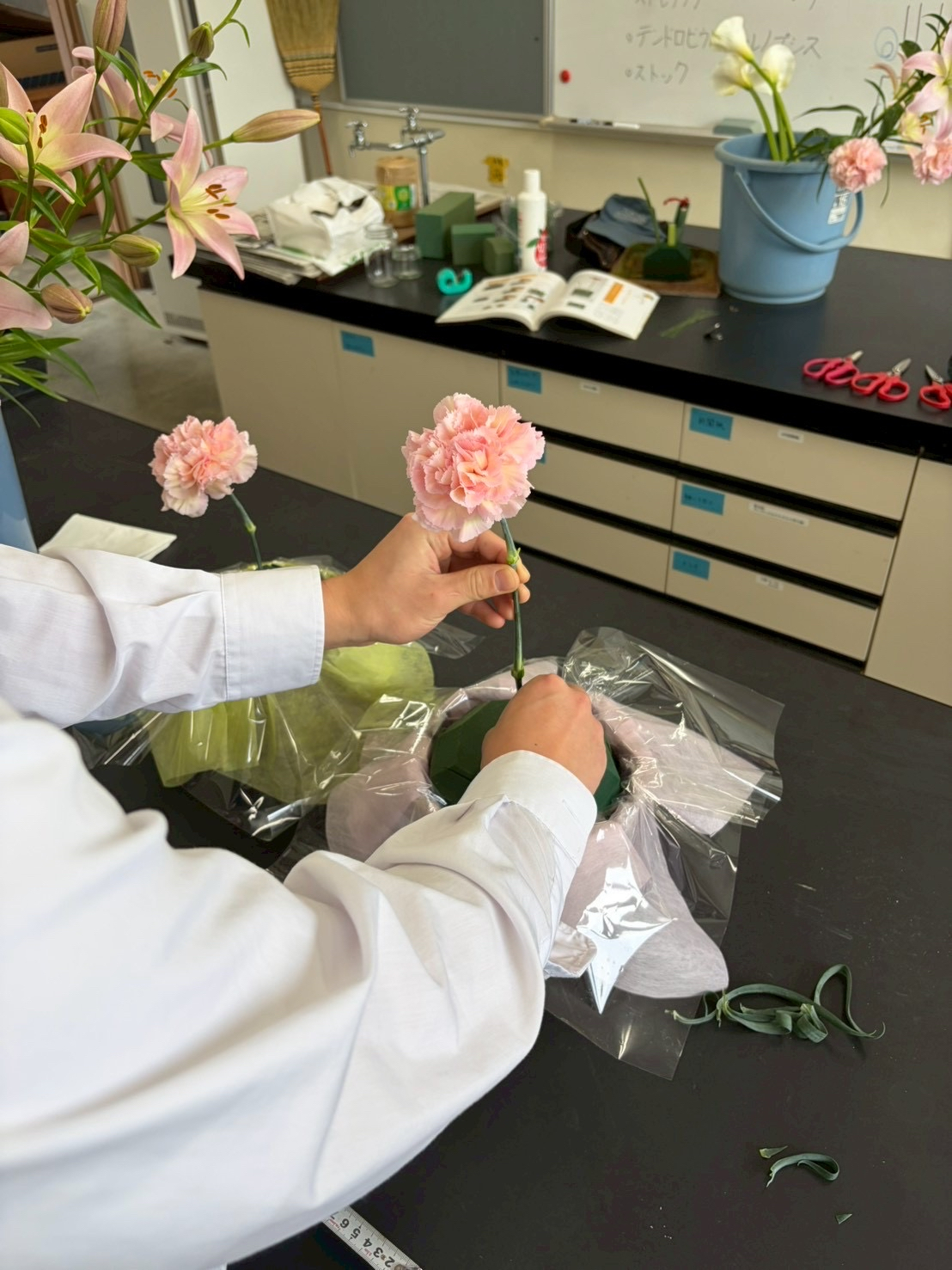 Image - 2026-03-10T093351.246